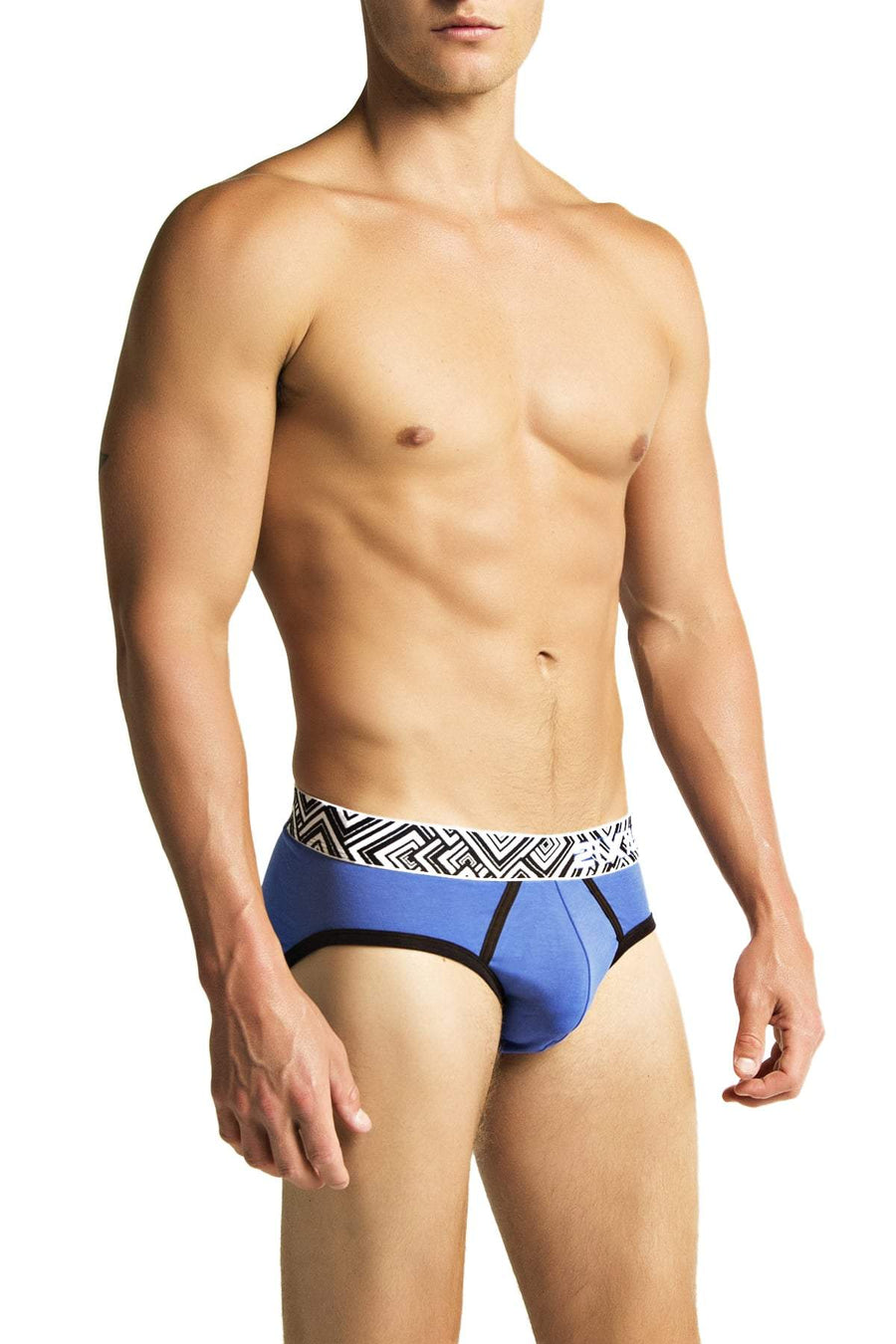 2(X)IST Blue Graphic Brief