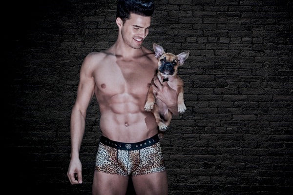 Animal Affair: Untamed