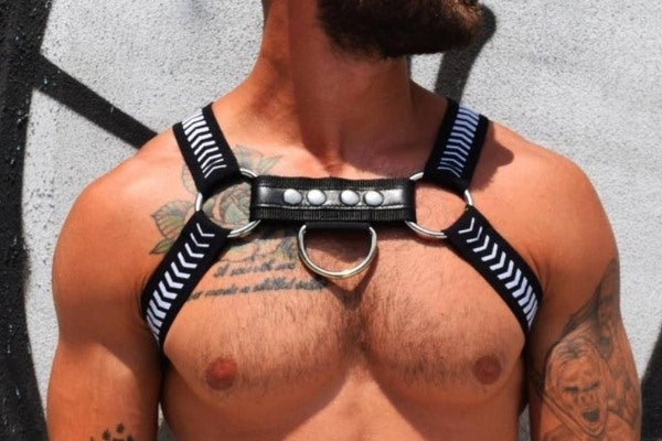 Breedwell D-Ring Circuit Harness
