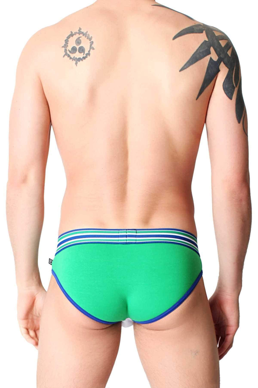 Timoteo Green Speedway Brief