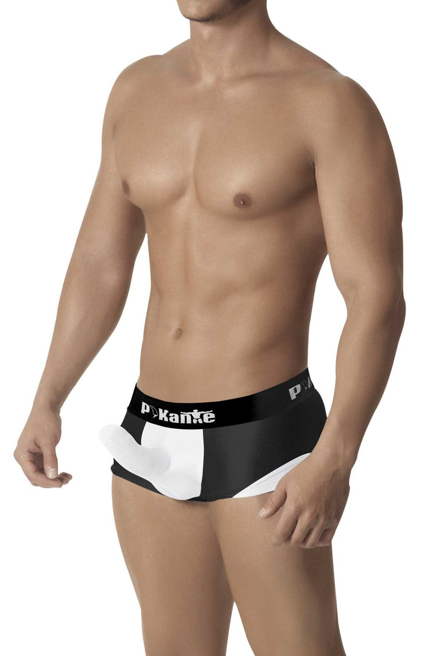 Pikante Black Fury Titan Latin Boxer