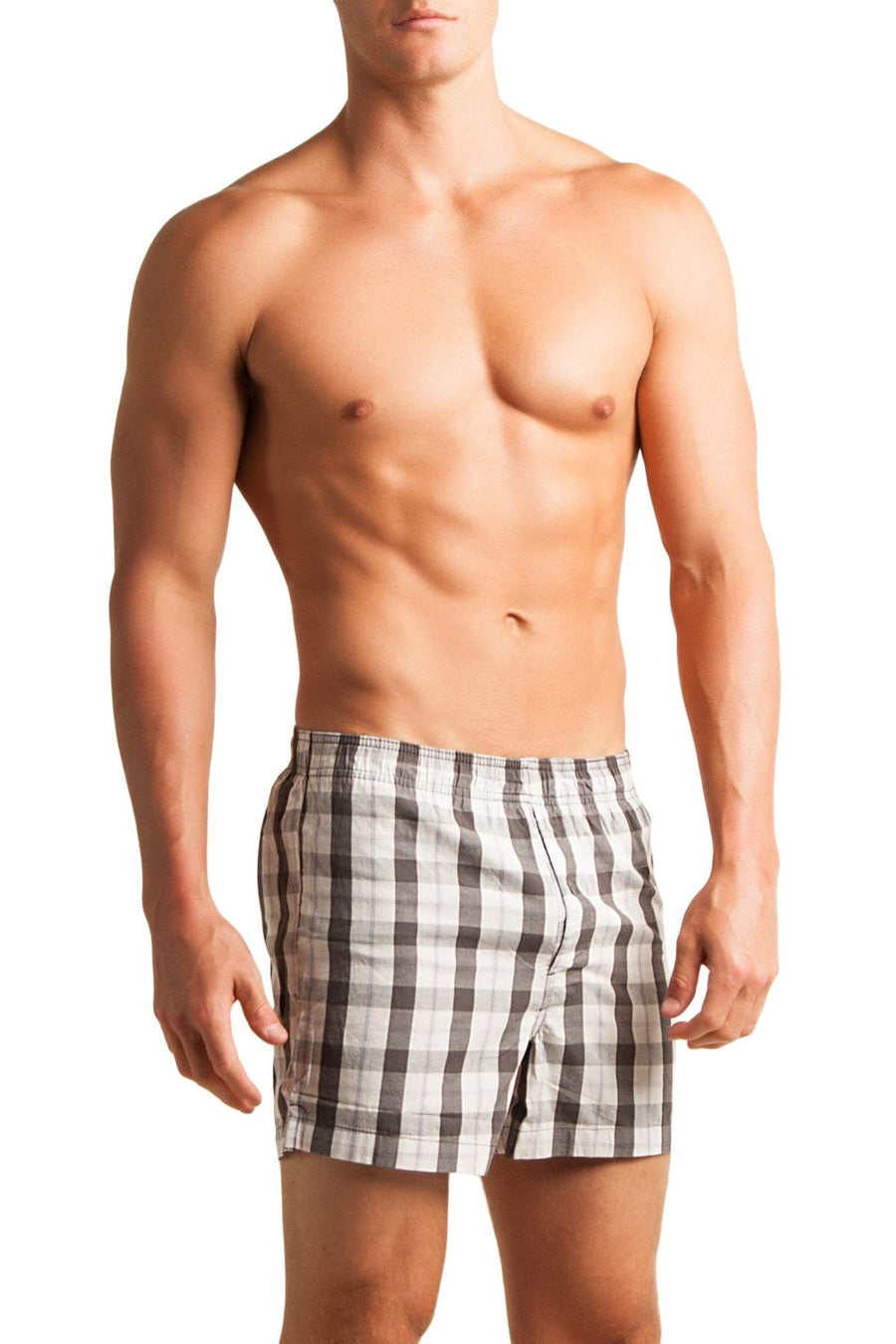 C-IN2 Graph Grey Woven Plaid Boxer