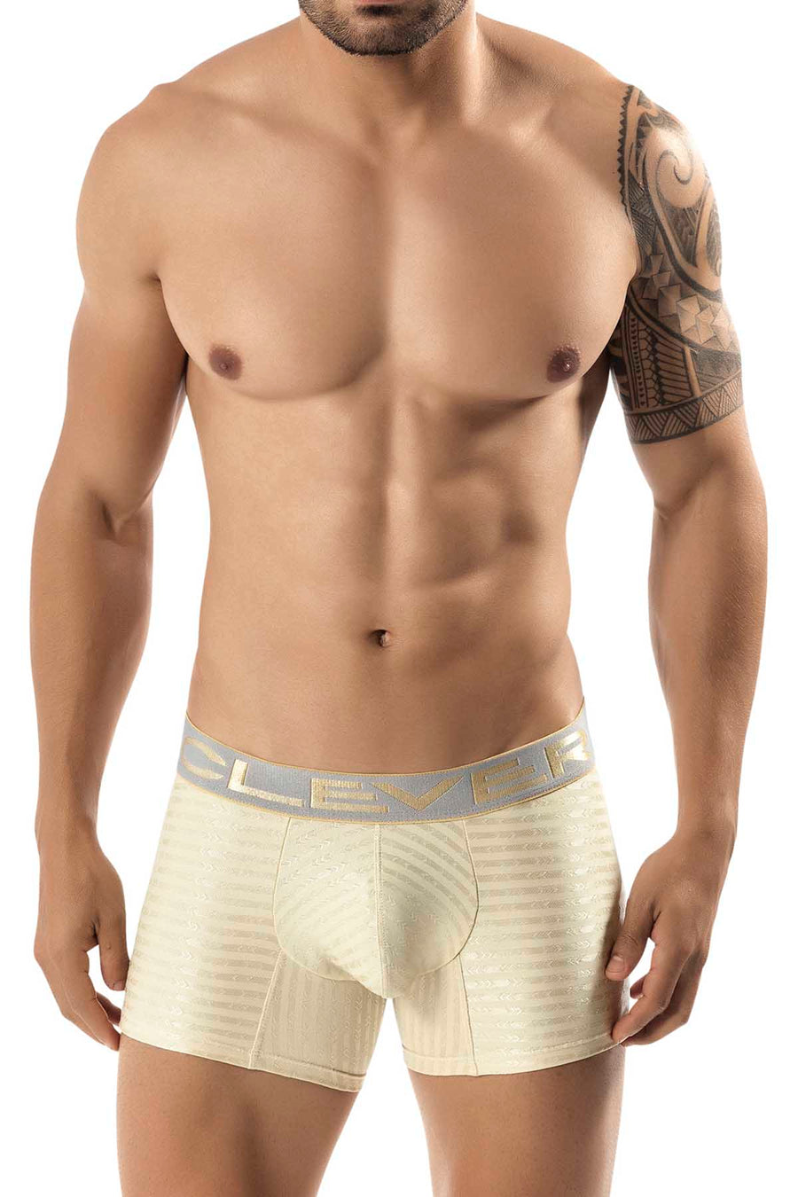 Clever Gold Pinerolo Boxer
