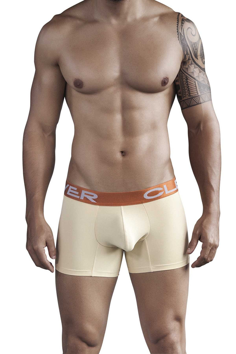 Clever Gold Ancestoral Boxer