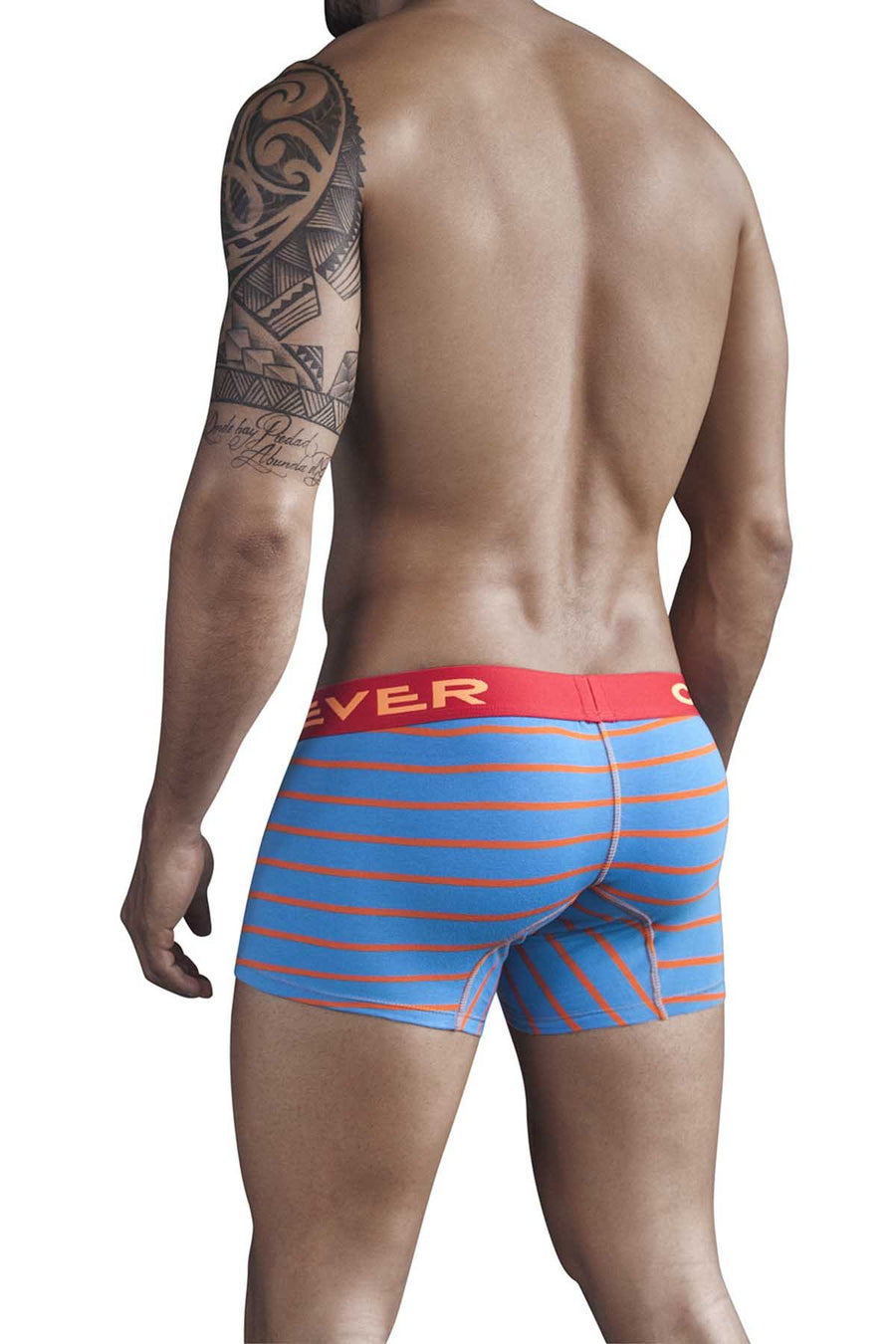 Clever Blue Mayan Pantheon Boxer