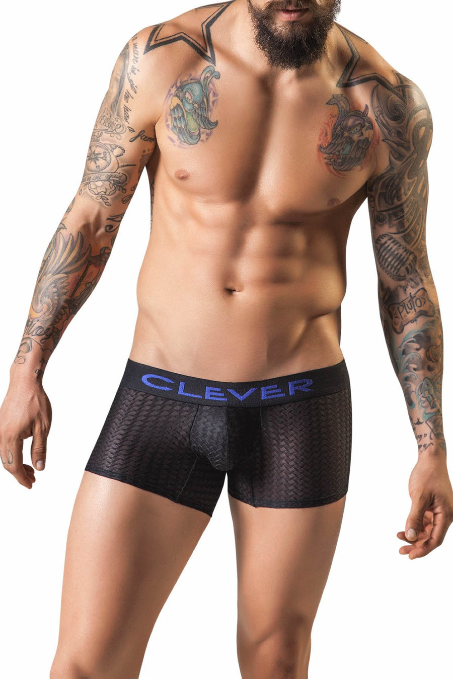 Clever Black Catay Boxer