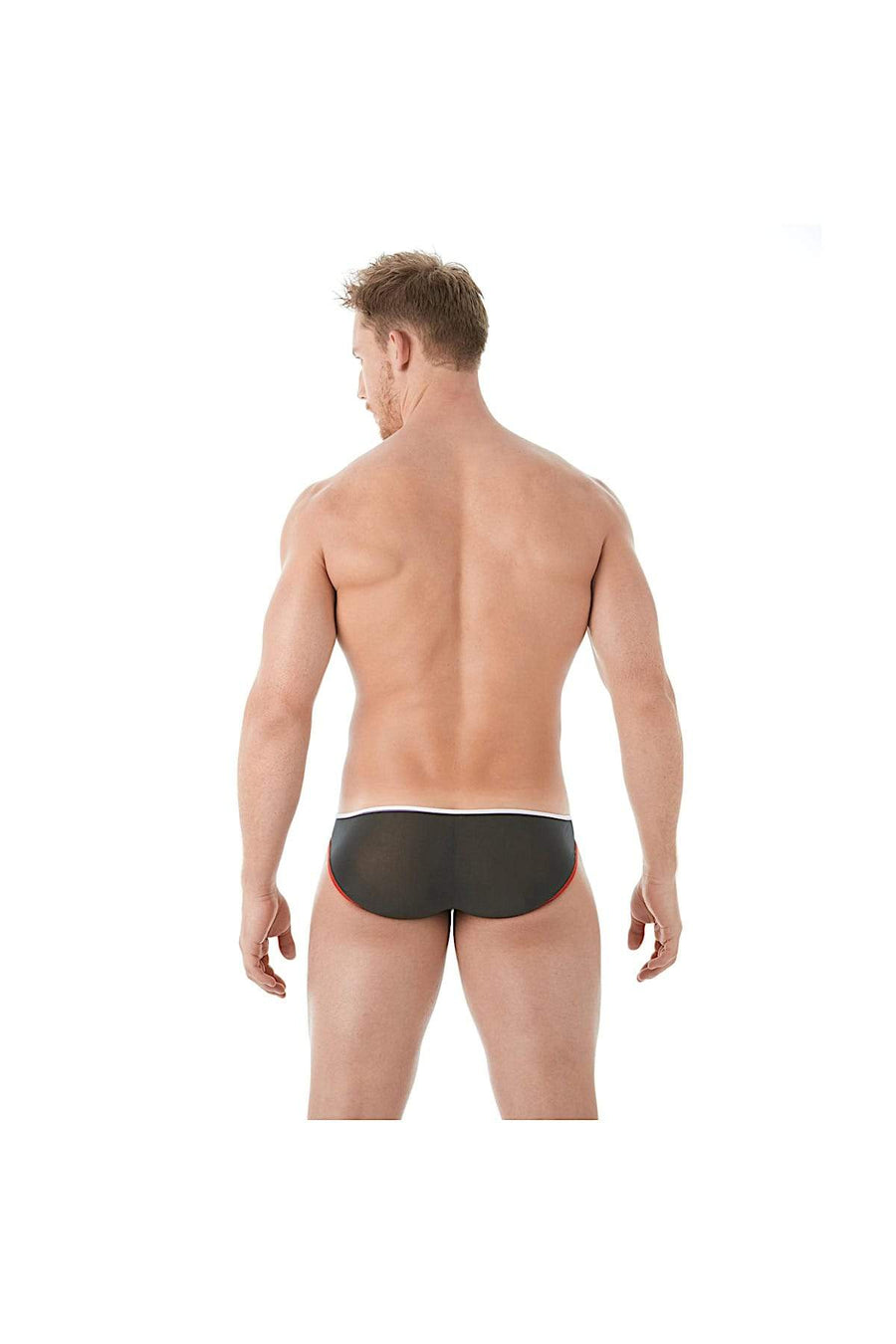 Gregg Homme Black Affair Sheer Knit Brief