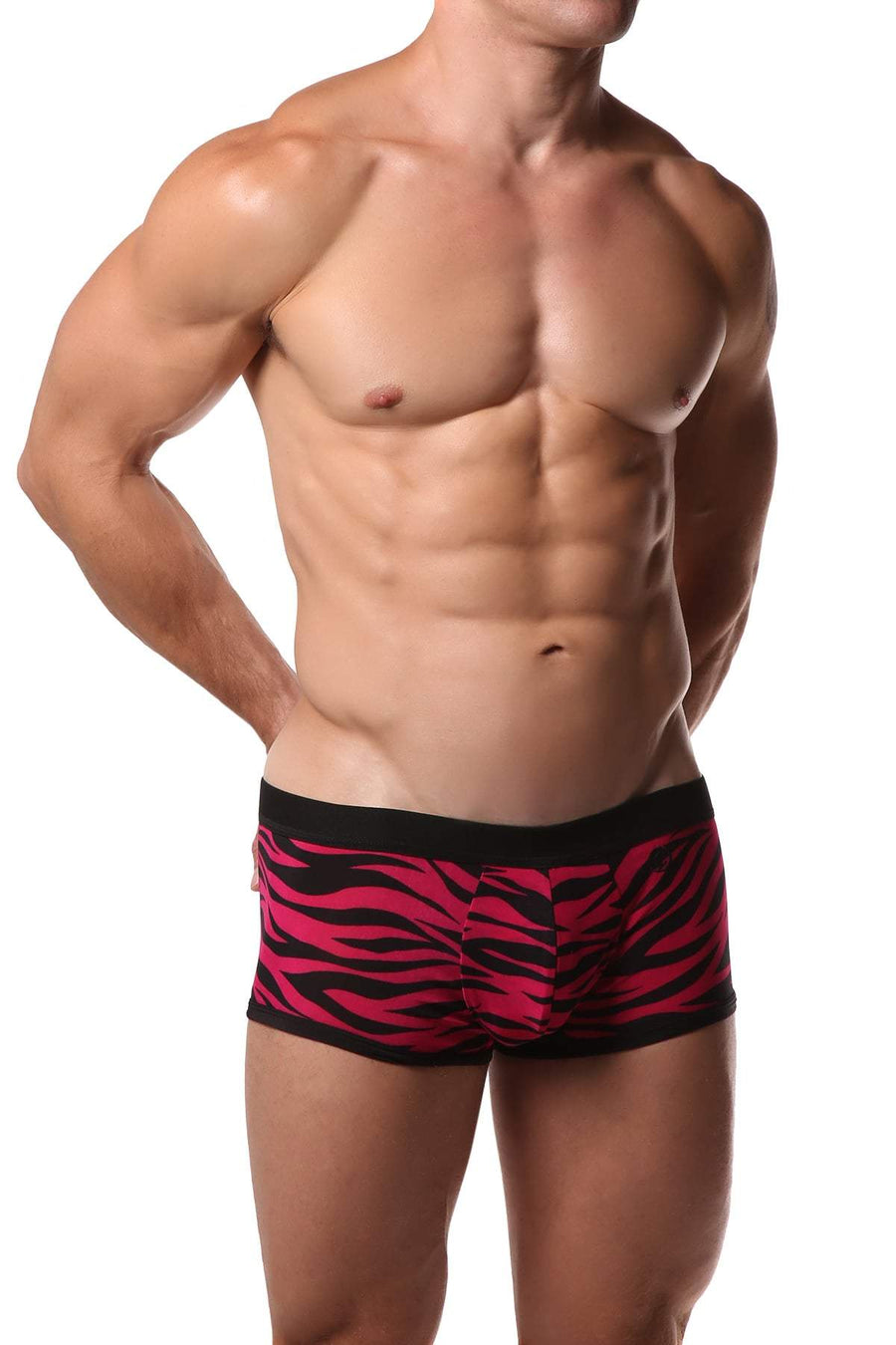JustinCase Pink Zebra Trunk