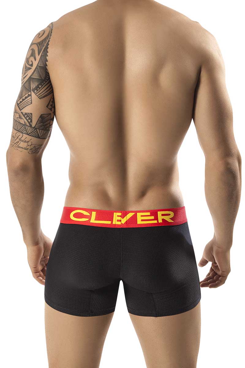 Clever Black Burdeos Latin Boxer