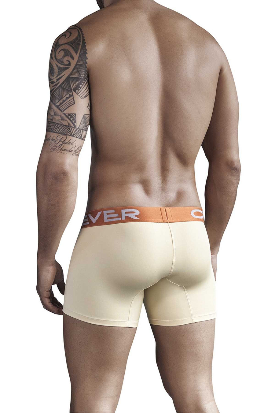 Clever Gold Ancestoral Boxer