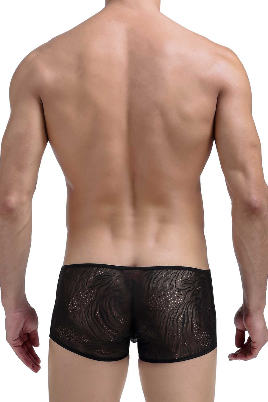 PetitQ Black Savanah Boxer Brief