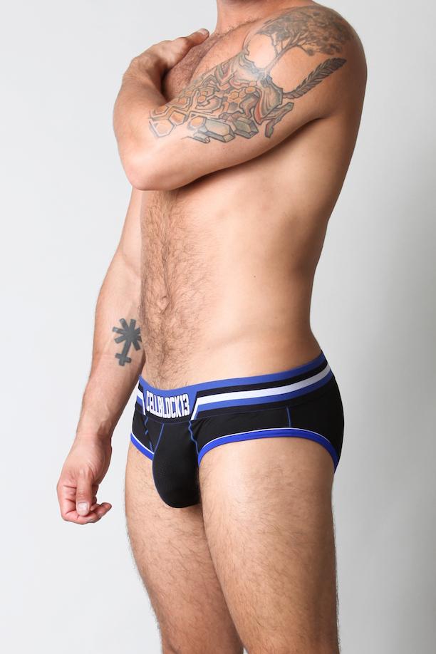 Cellblock 13 Blue Interceptor Brief