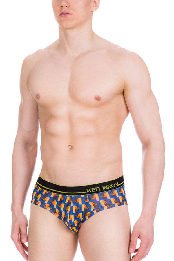 Ken Wroy Multi Active Brief
