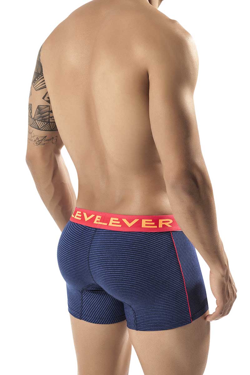 Clever Blue Isernia Latin Boxer