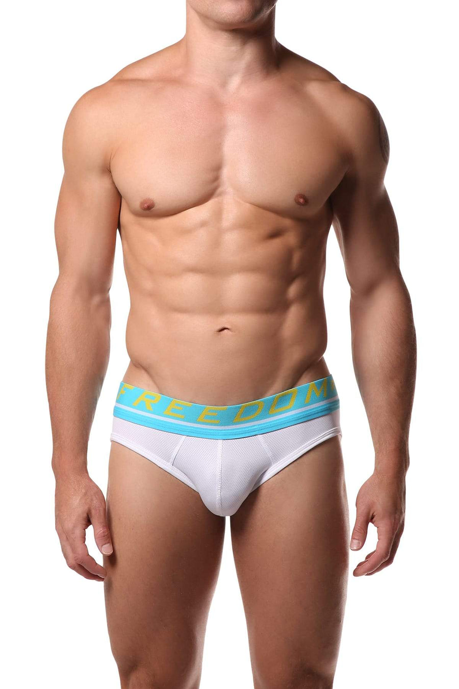 Freedom Reigns White Micro Mesh Brief