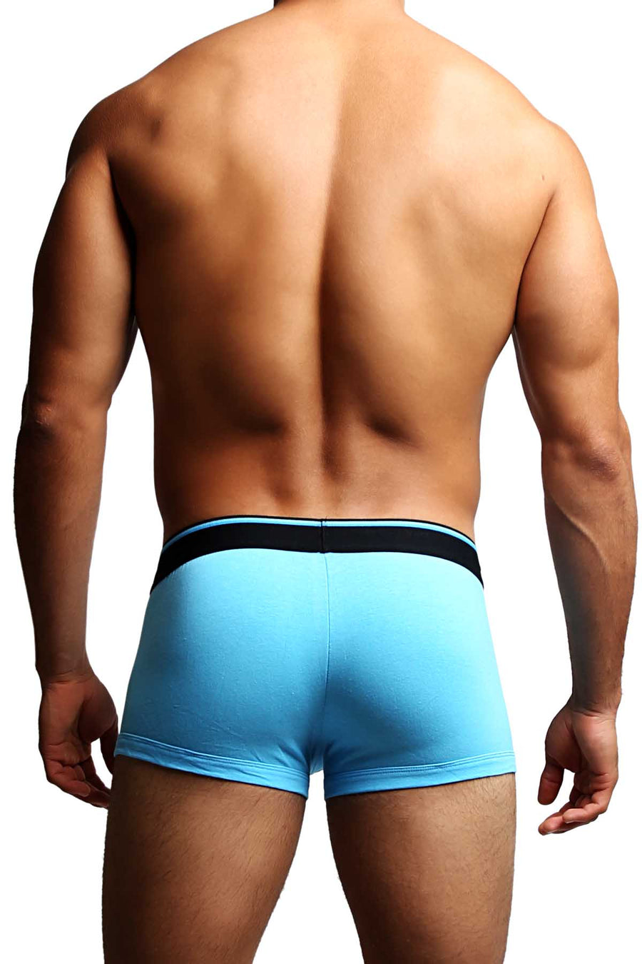 2-Pack Papi Light Blue Stripes Stretch Brazilian Trunks