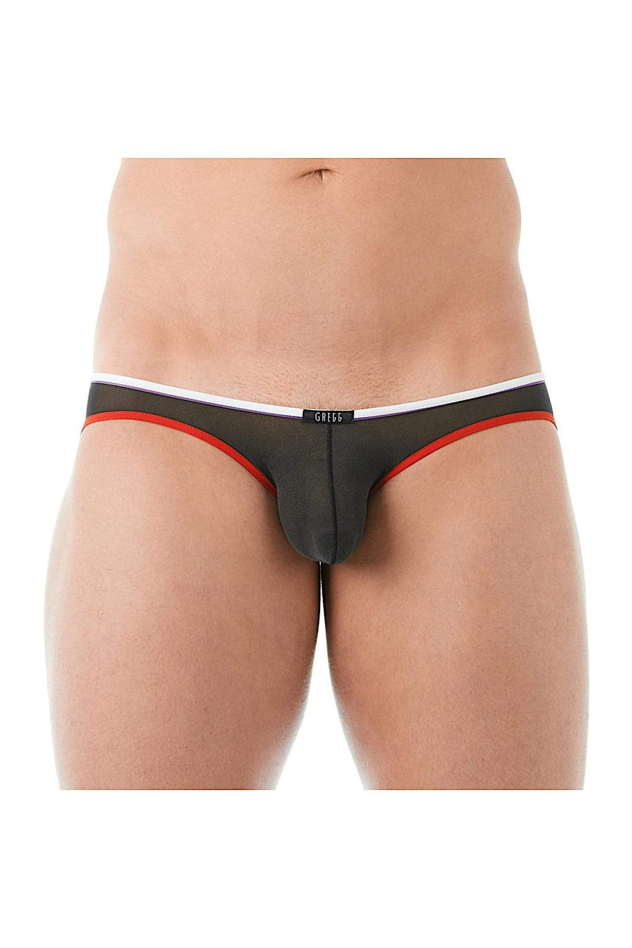 Gregg Homme Black Affair Sheer Knit Brief