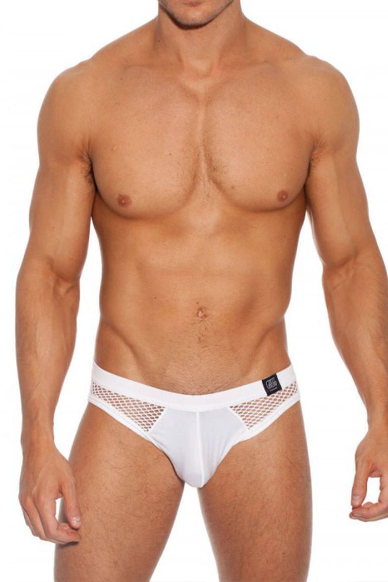 Gregg Homme White Beyond Doubt Brief