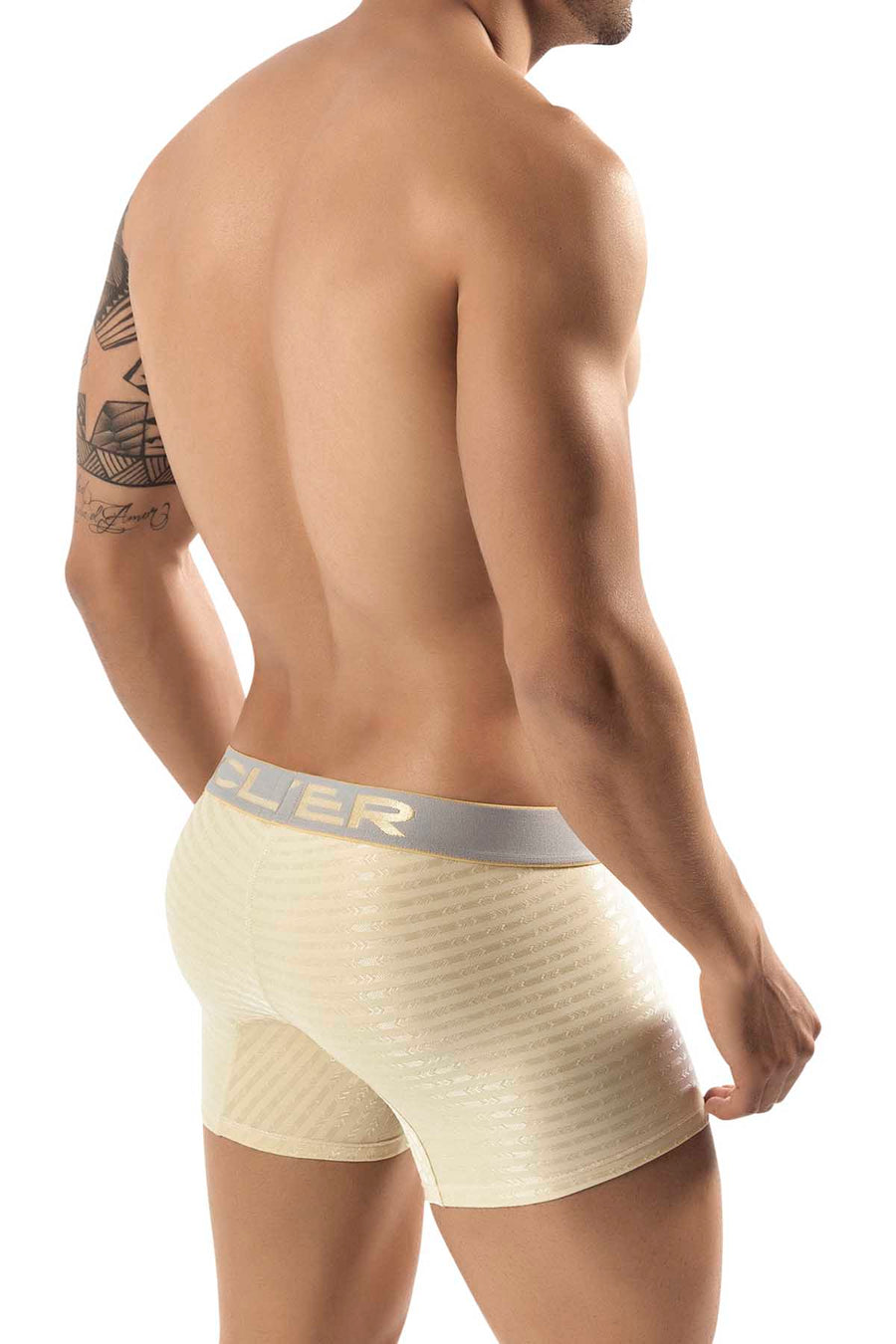 Clever Gold Pinerolo Boxer