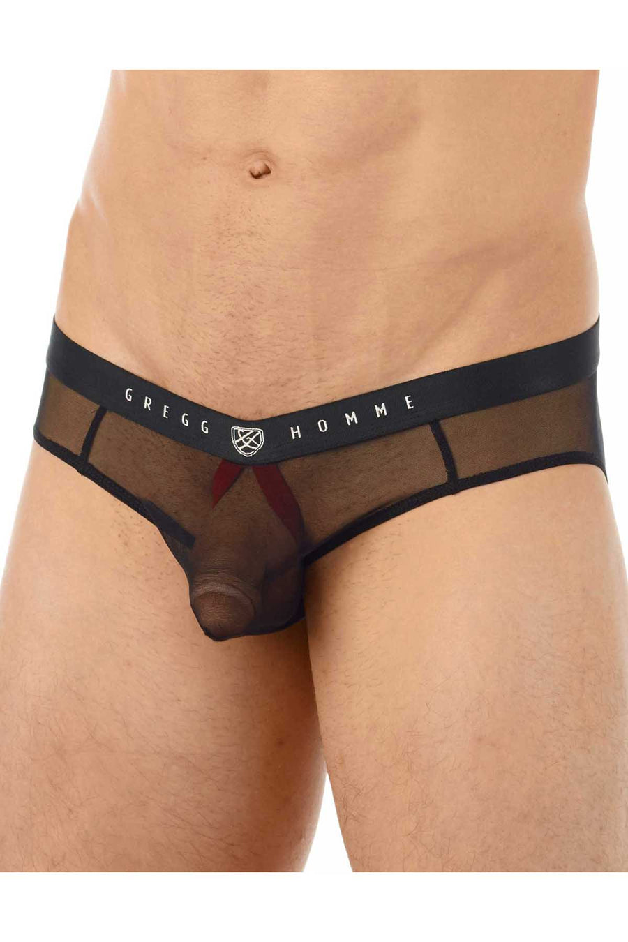 Gregg Homme Black Erotik Ultra Sheer Mesh C-Ring Brief