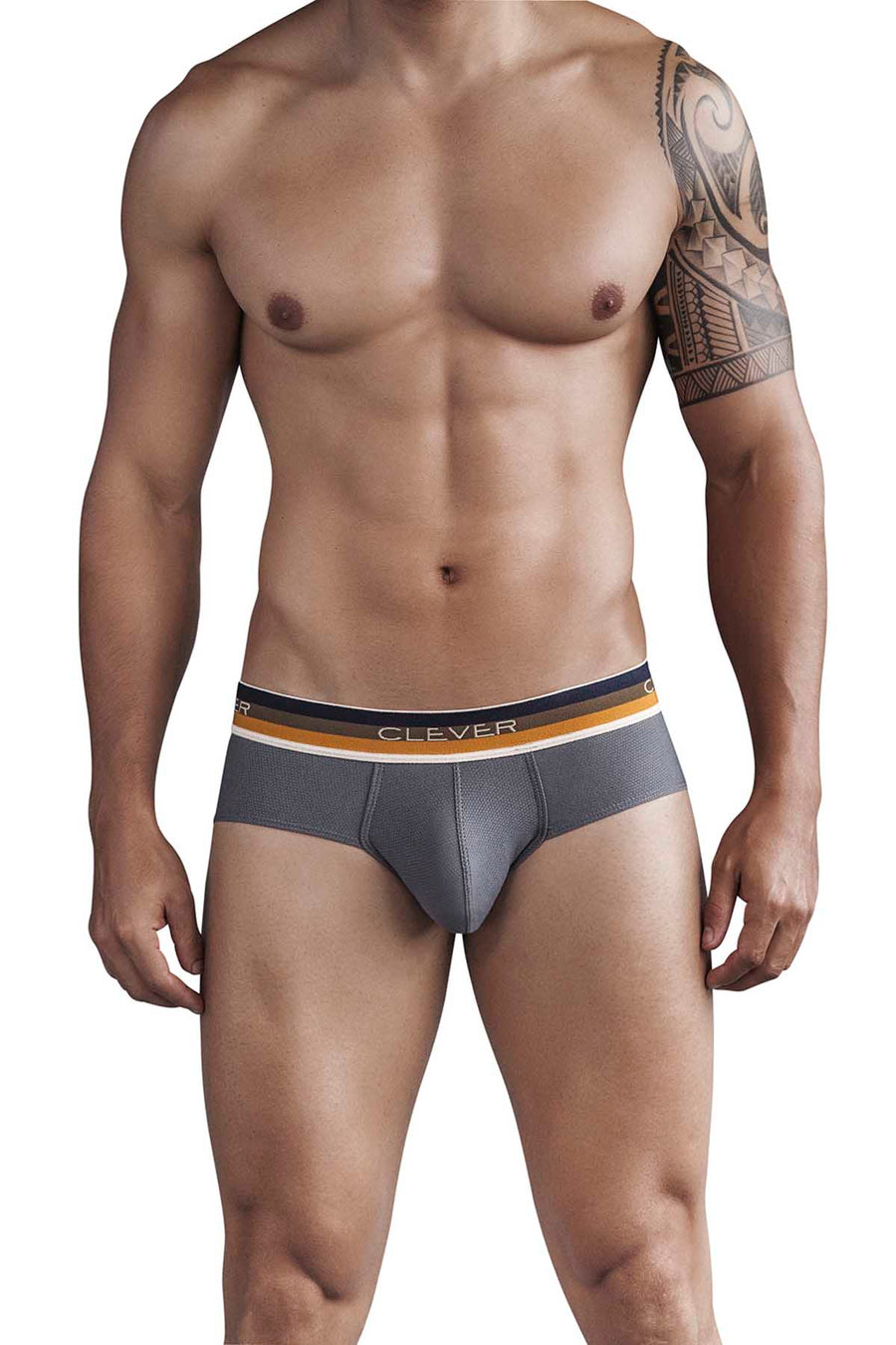 Clever Grey Ethnic Pride Classic Brief
