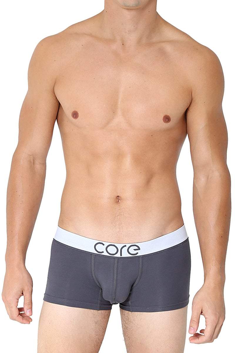 CORE Grey Modern Basic Trunk