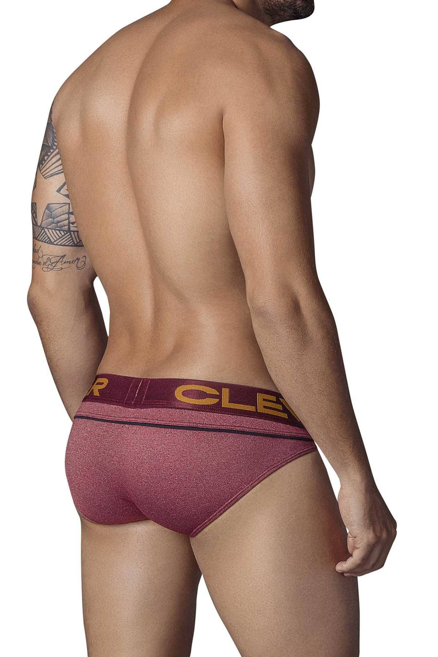 Clever Red-Grape Classy Icon Latin Brief