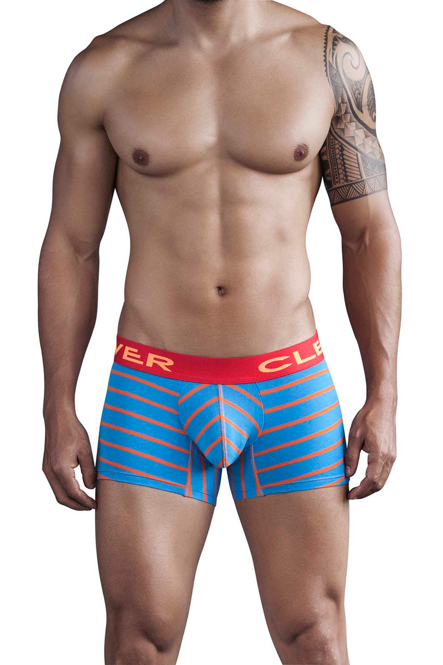 Clever Blue Mayan Pantheon Boxer