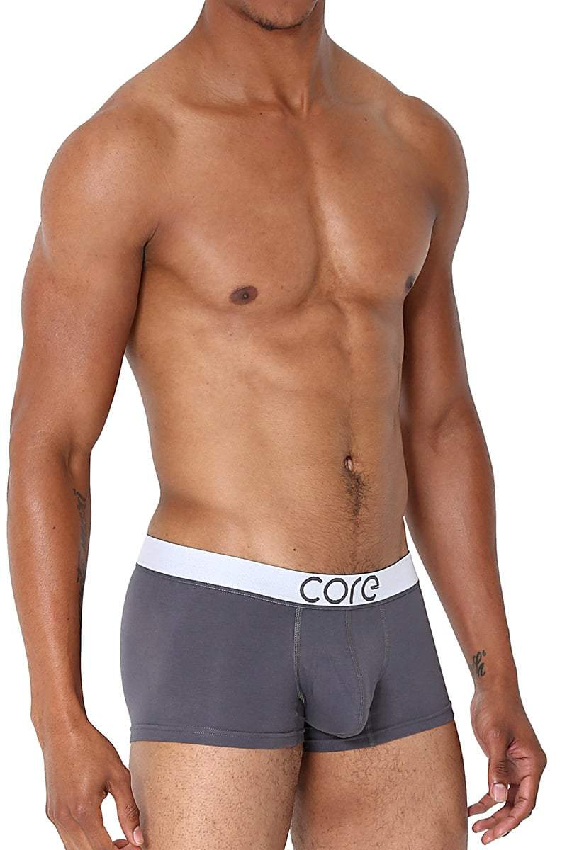 CORE Grey Modern Basic Trunk