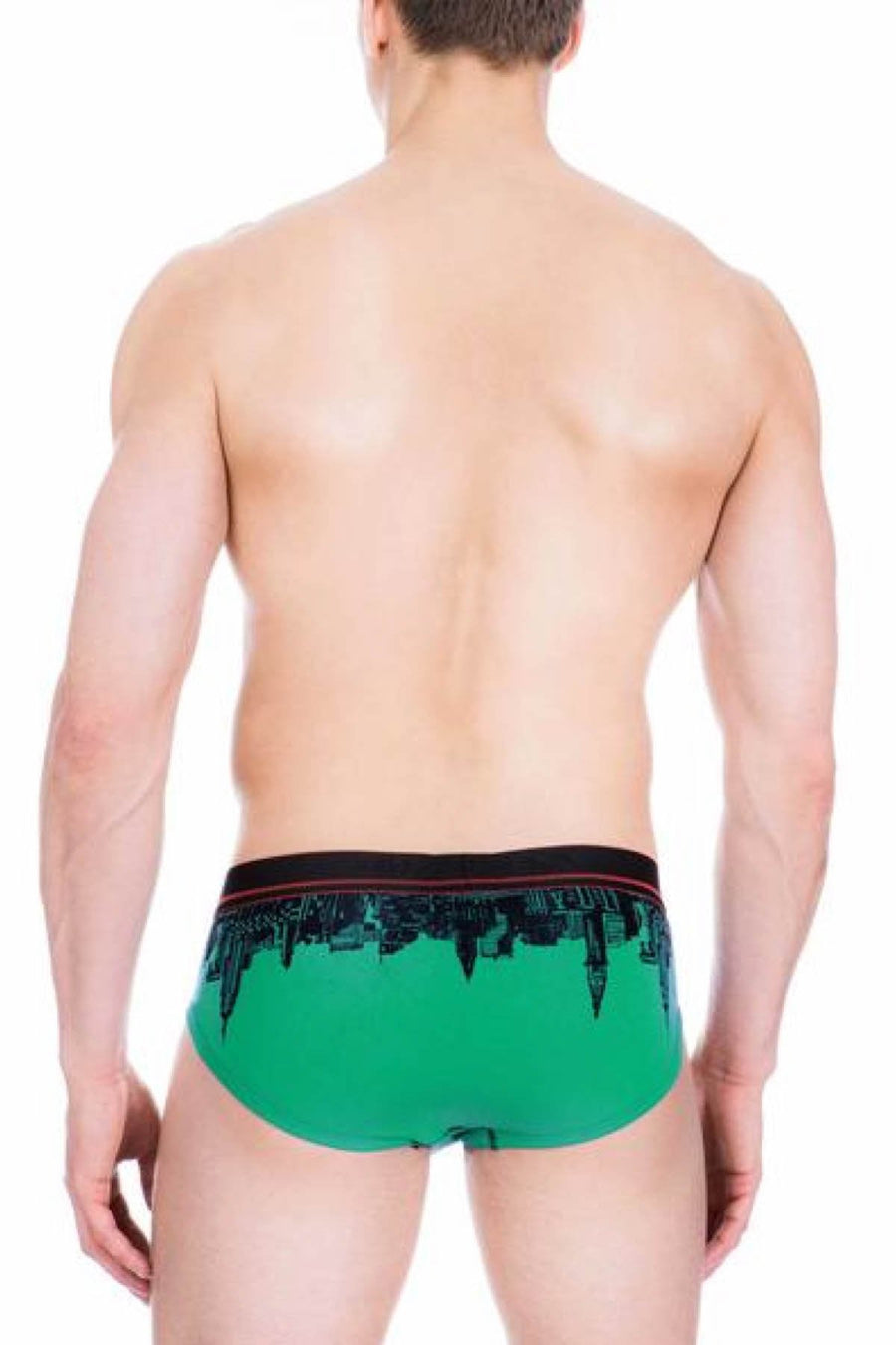 Ken Wroy Green New York Brief