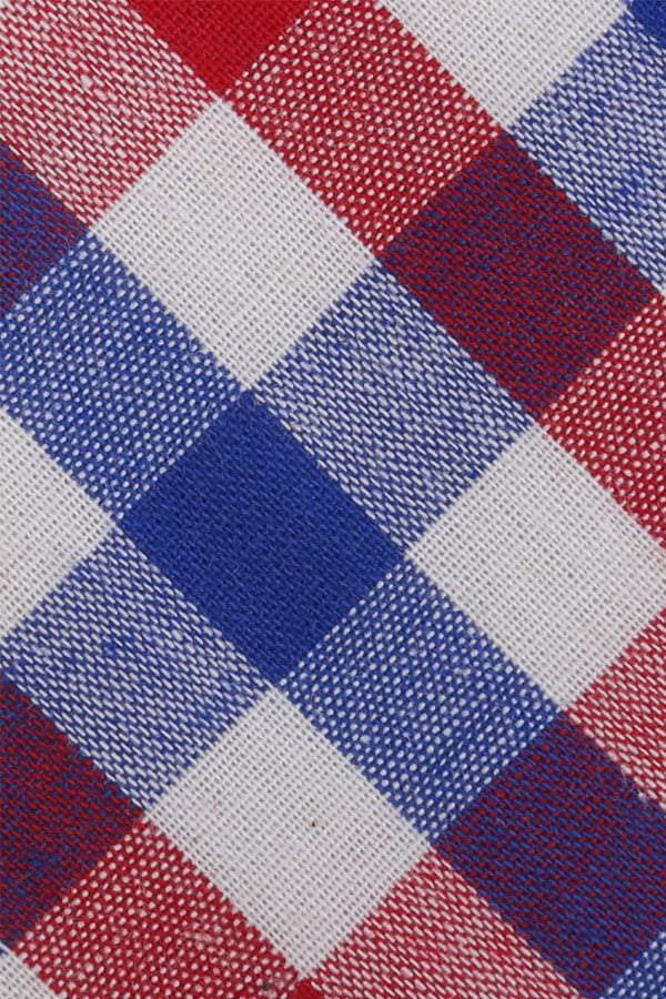 Skinny Tie Madness Red & Blue Checked Tie
