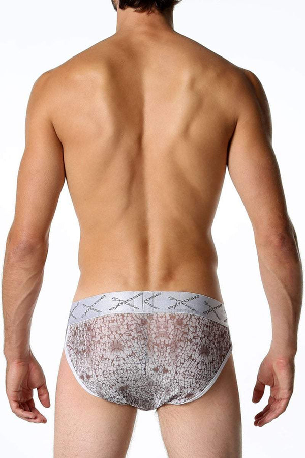 Expose Grey Low-Rise Sheer Brief