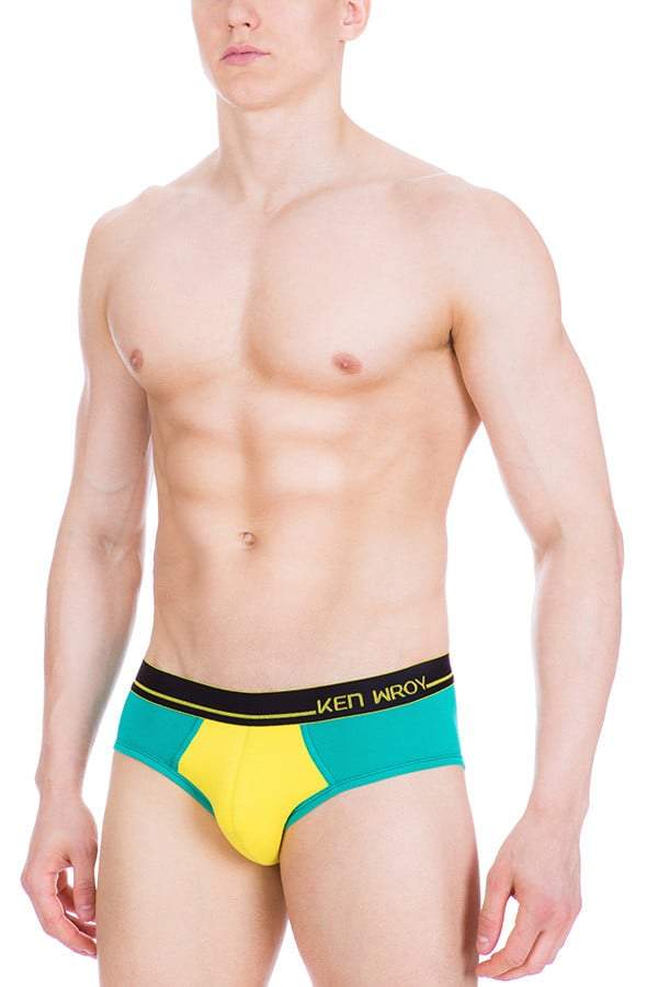 Ken Wroy Green Envy Brief