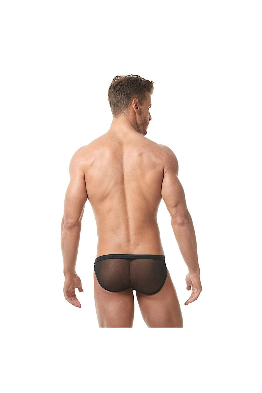 Gregg Homme Black Lust Mesh Velvet Brief