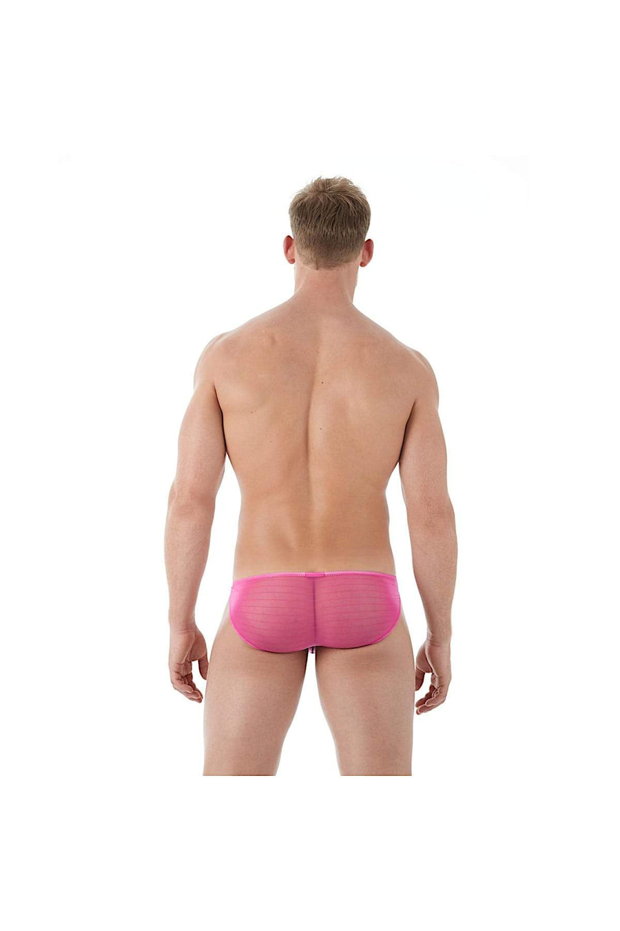Gregg Homme Pink Mesh Suspender C-Ring Brief