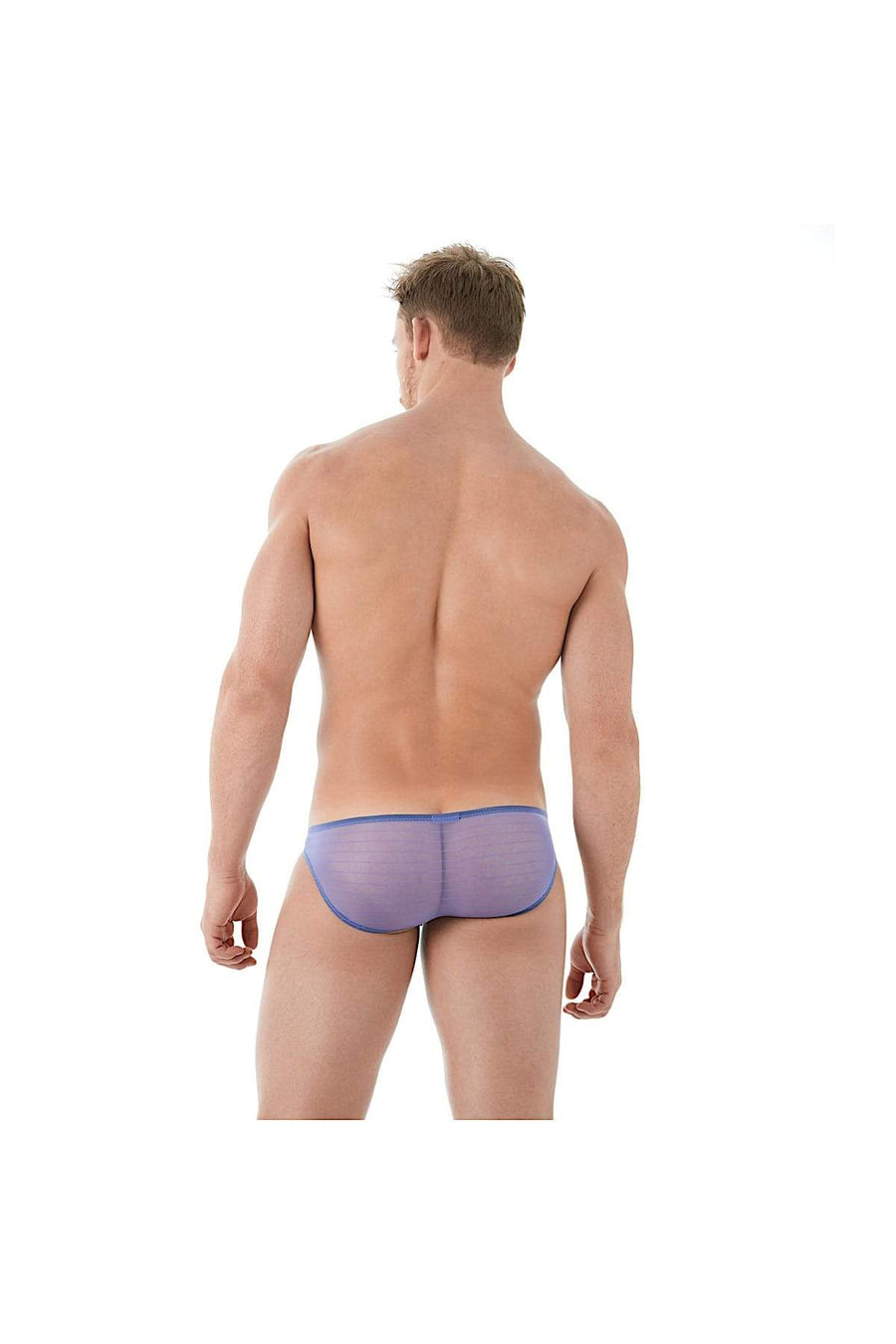 Gregg Homme Purple Mesh Suspender C-Ring Brief