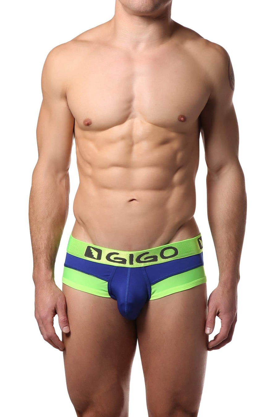 Gigo Blue Old Fresh Brief