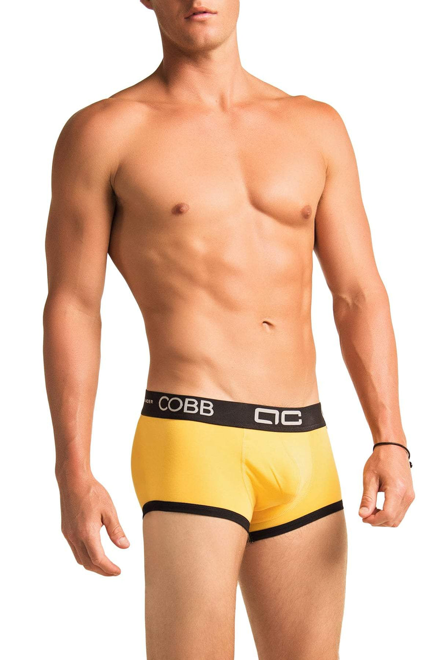 Alexander Cobb Yellow River Trunk