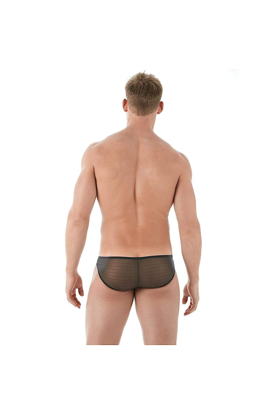 Gregg Homme Black Mesh Suspender C-Ring Brief