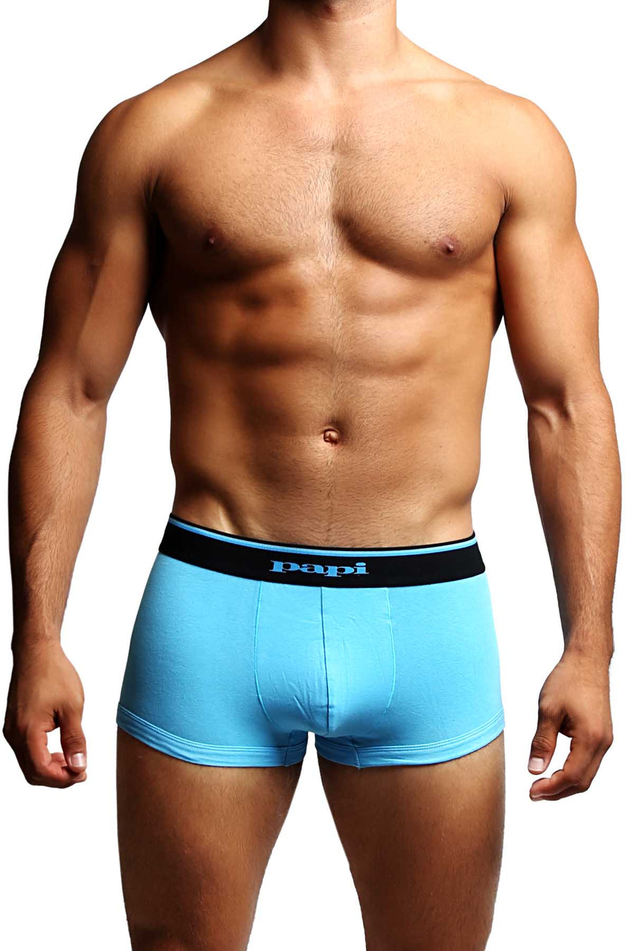 2-Pack Papi Light Blue Stripes Stretch Brazilian Trunks