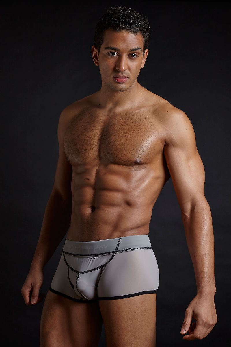 Naughty Boy Grey Anatomy Brief