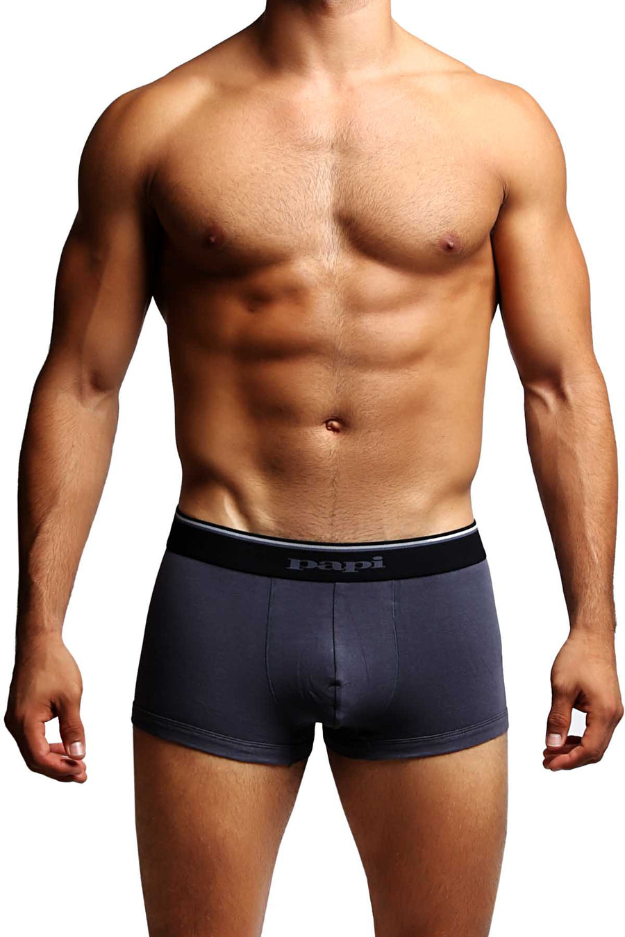 2-Pack Papi Grey Stripes Stretch Brazilian Trunks