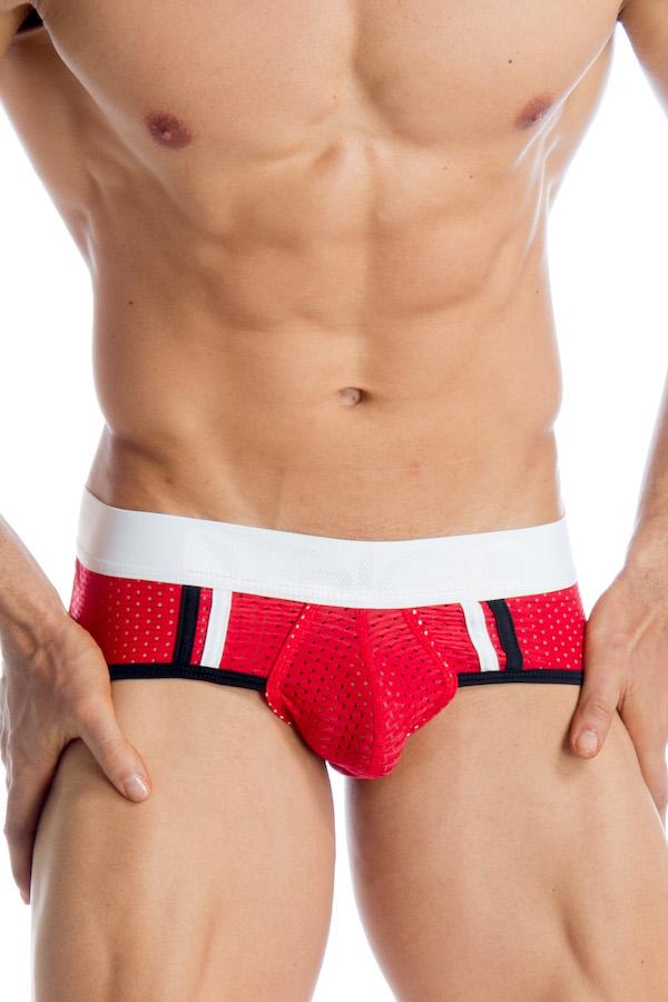 Gigo Red Joki Ses Brief