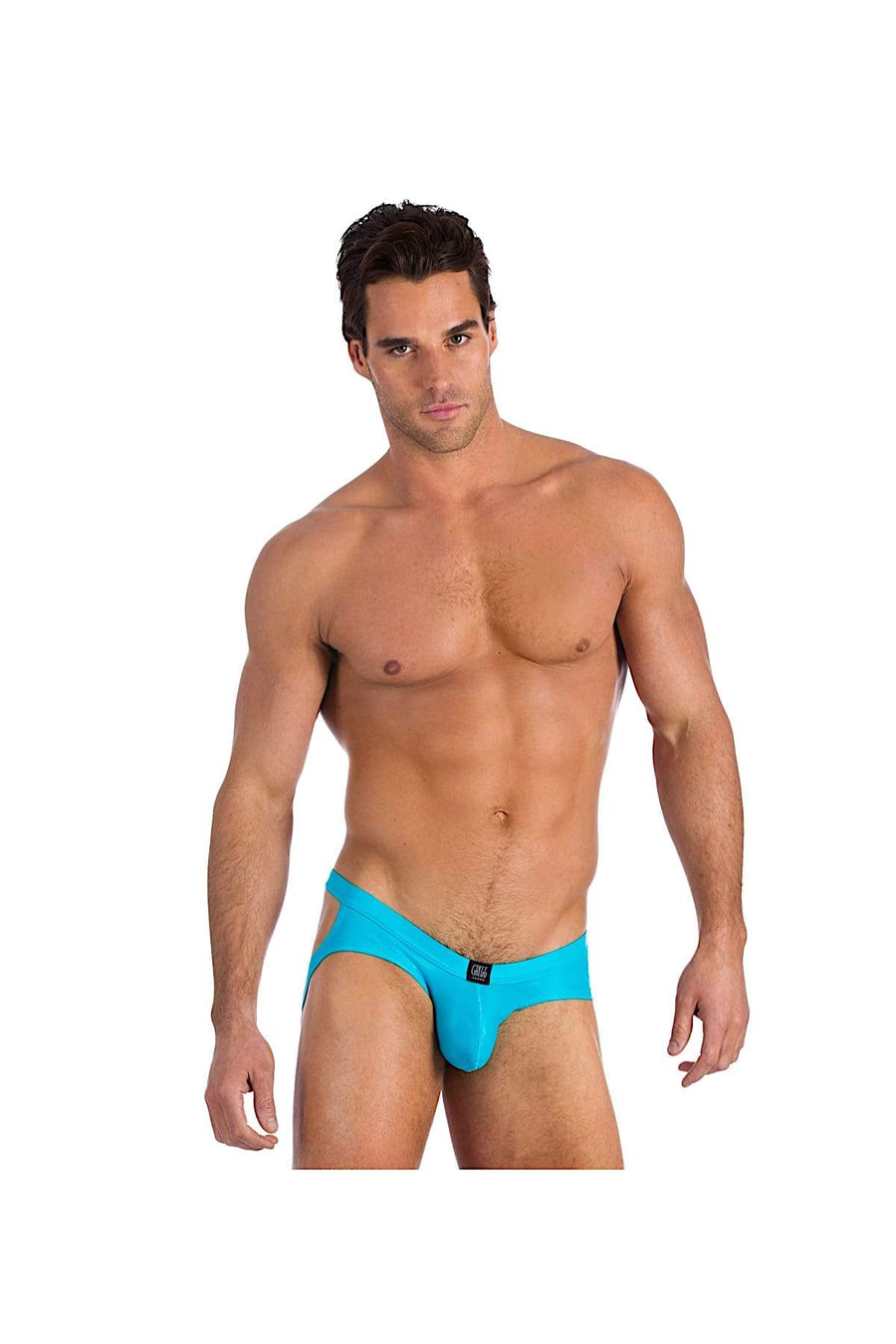 Gregg Homme Aqua Boytoy Luminous Jockbrief