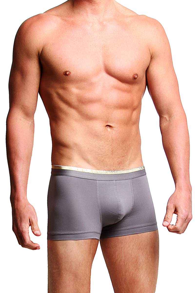 Joe's Jeans Grey & Gold Trunk