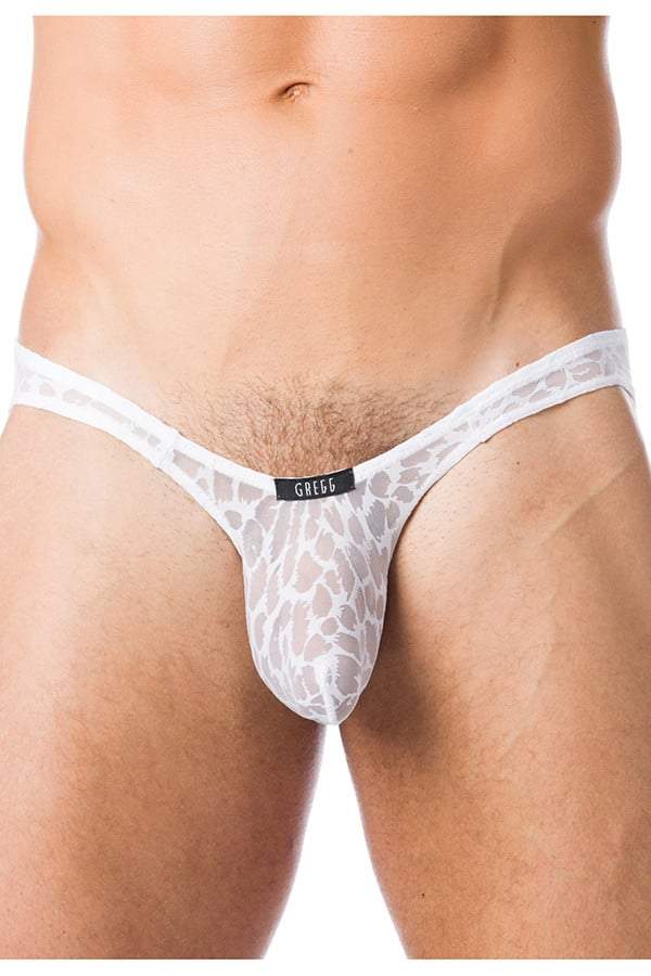 Gregg Homme White Appeal Brief