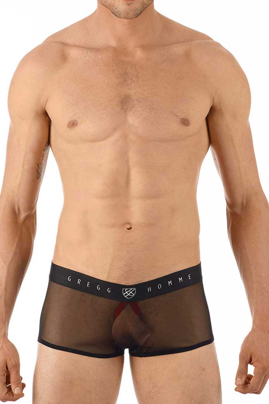 Gregg Homme Black Erotik Ultra Sheer Mesh C-Ring Boxer Trunk