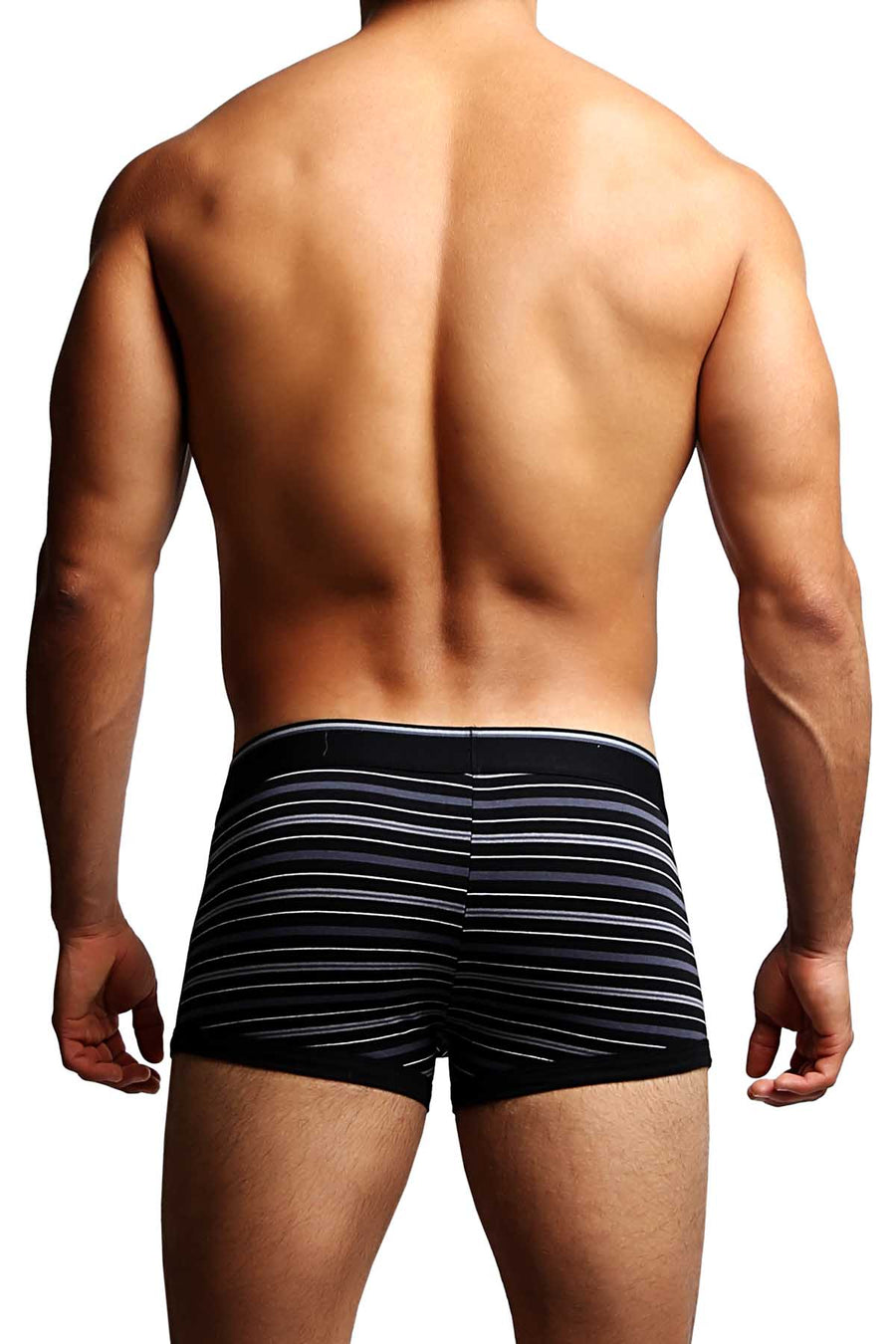 2-Pack Papi Grey Stripes Stretch Brazilian Trunks