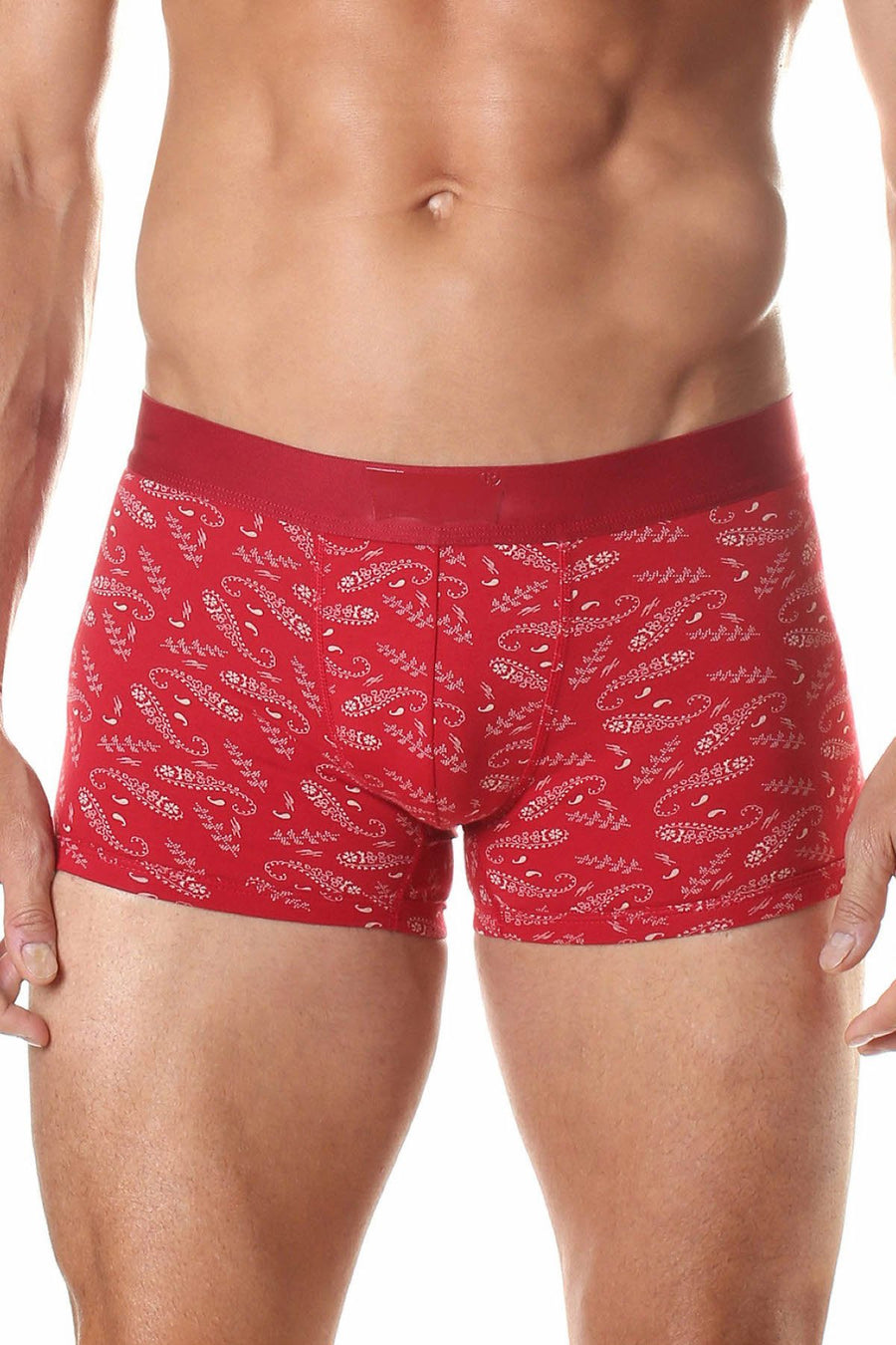 Levi's Red Paisley 200-Series Trunk