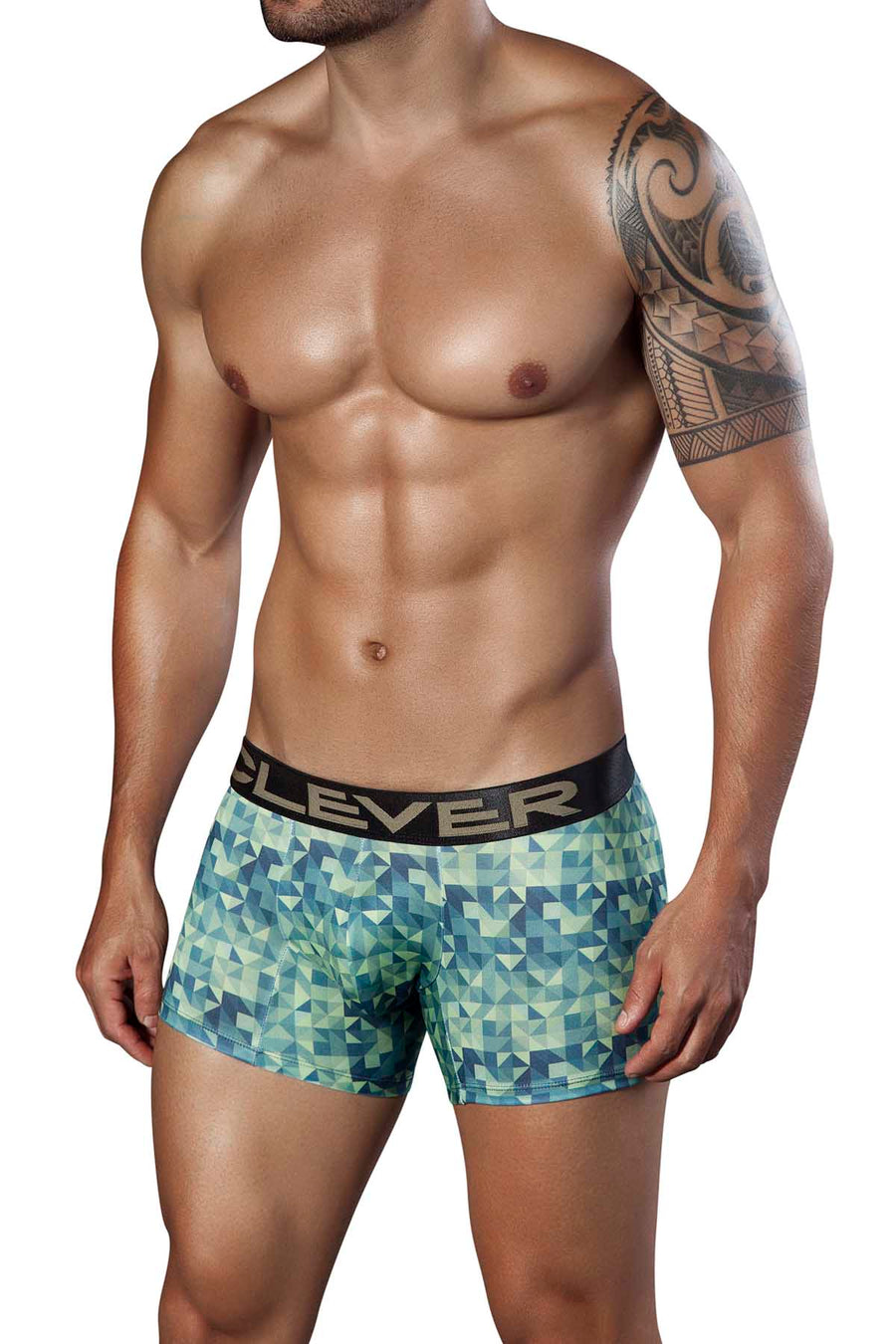 Clever Green Background Boxer